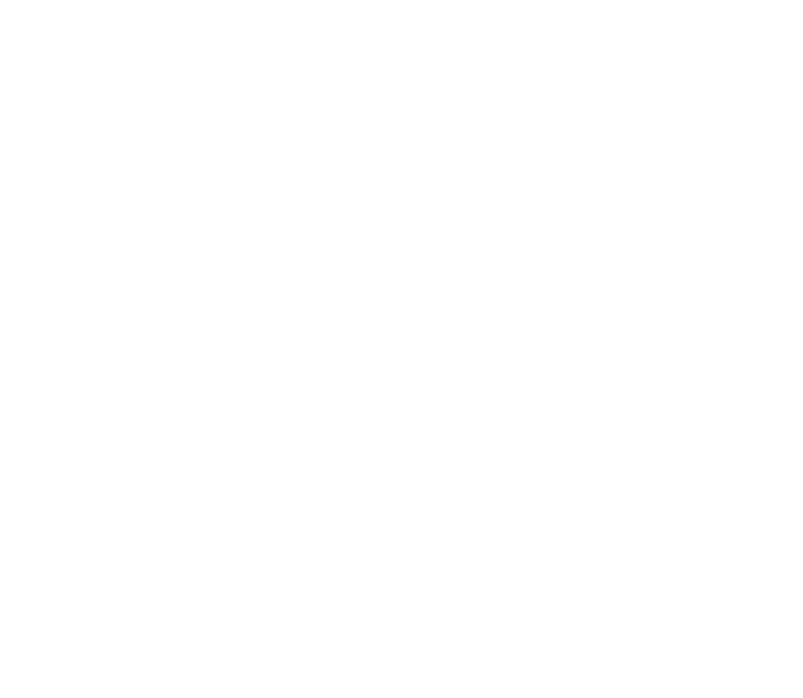 РАДОСТЬ ЗВУЧАНИЯ